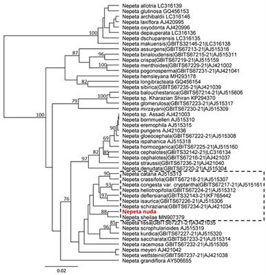 Catmint (Nepeta nuda L.) Phylogenetics and Metabolic Responses in Variable Growth Conditions